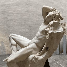 Asses of Glyptothek